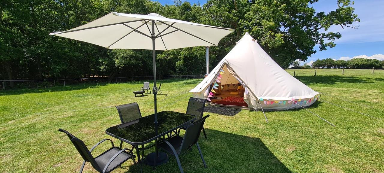 Luxuszelt Park Farm Bell Tent Lyndhurst