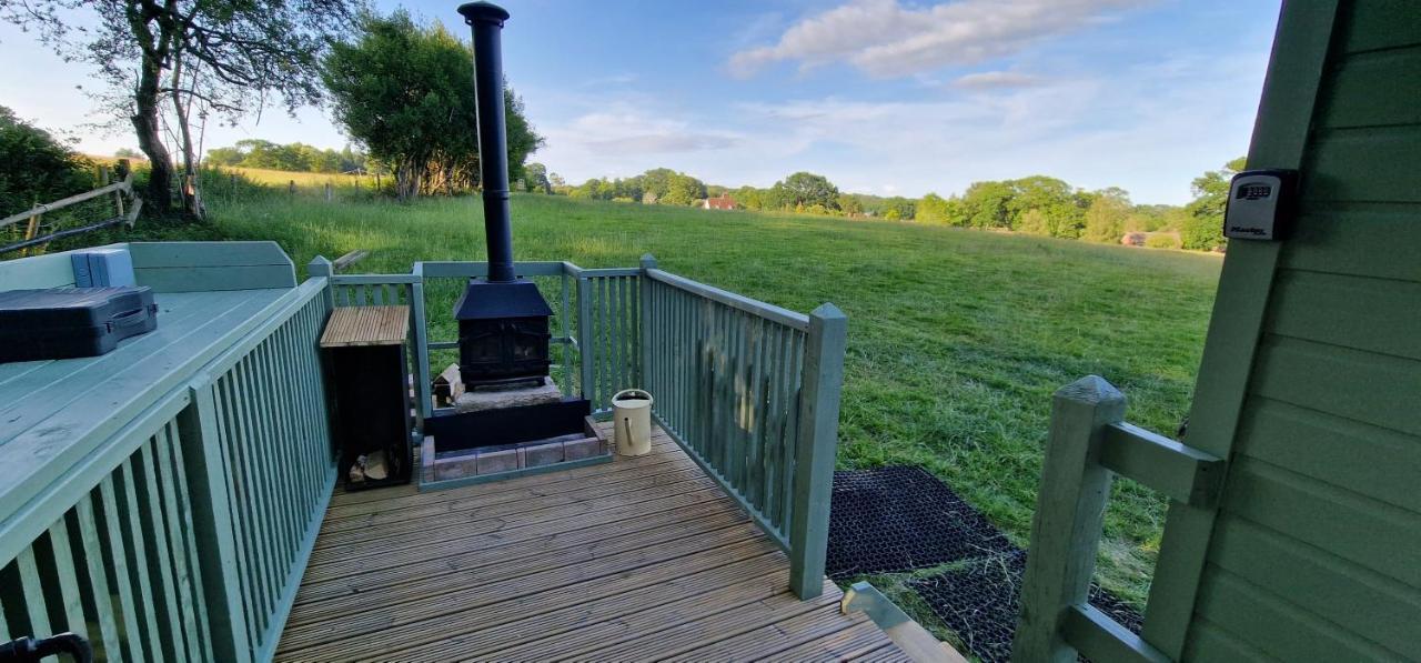 Park Farm Bell Tent Lyndhurst